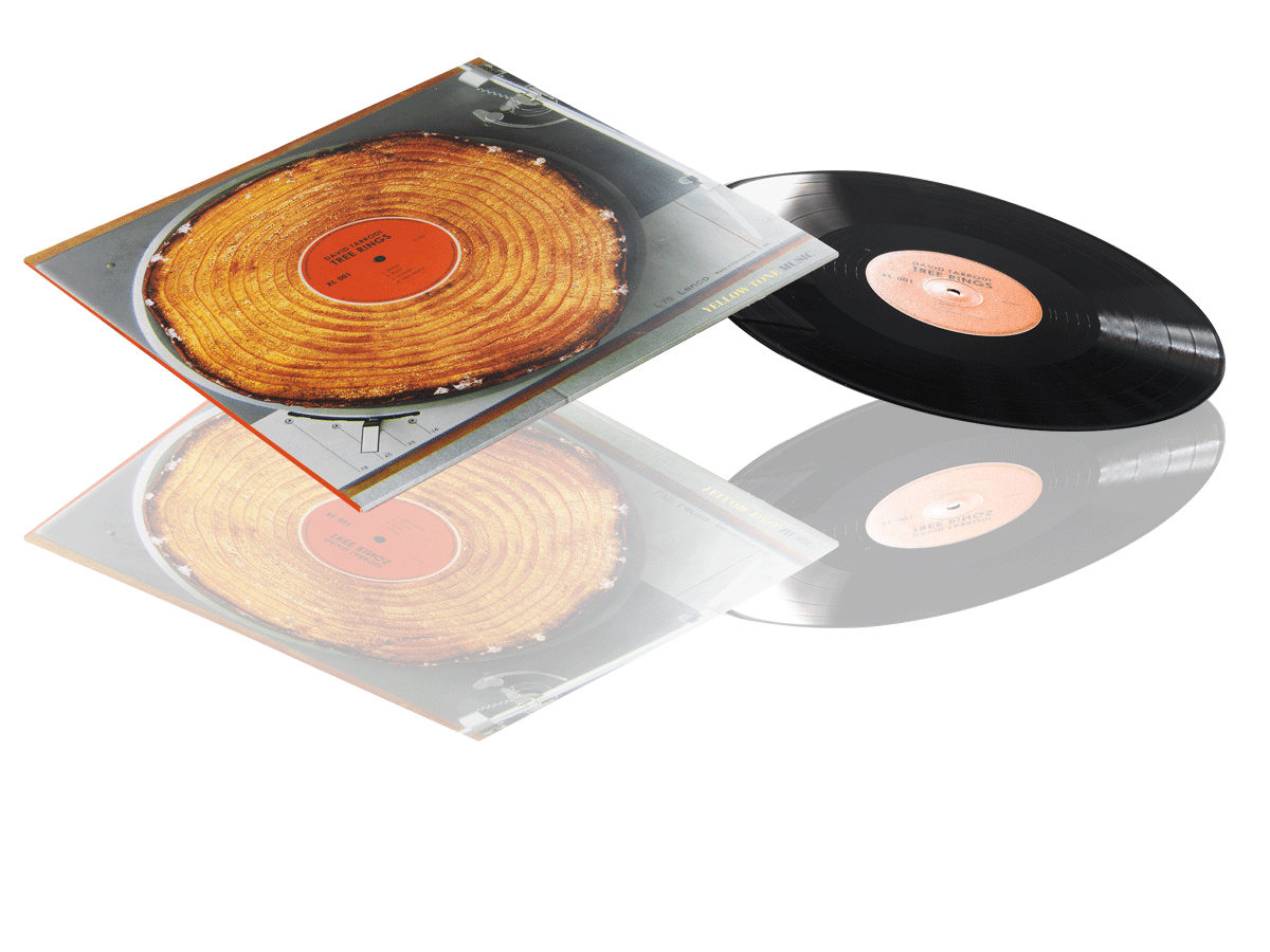 Vinyl 10" + Sleeve