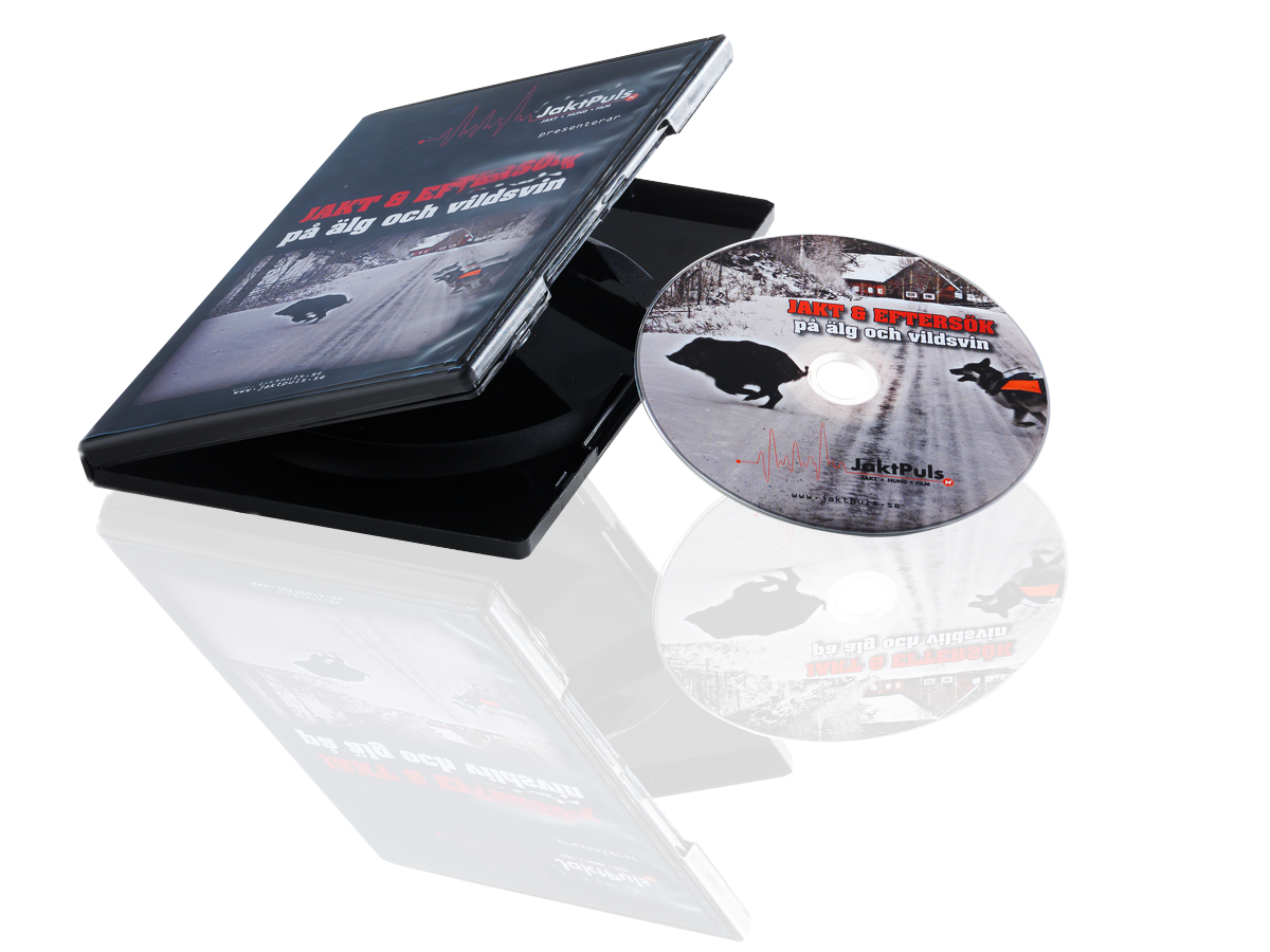 DVD + standard box