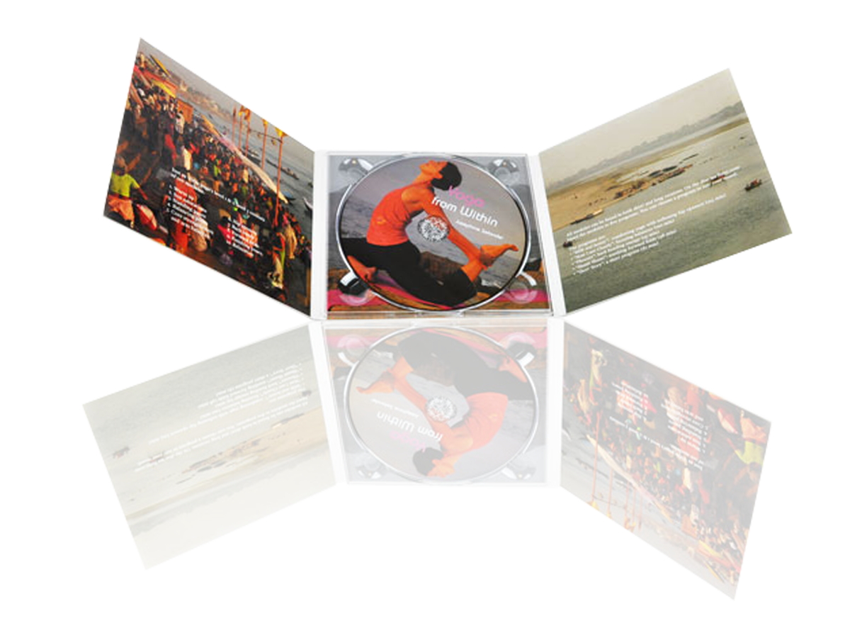 521028_DVD_6pages_digipak_skivtryck_discrepublic
